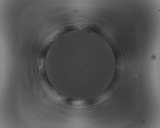 X0000111880139200908201306