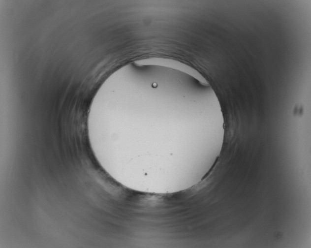 X0000111880140200908201306