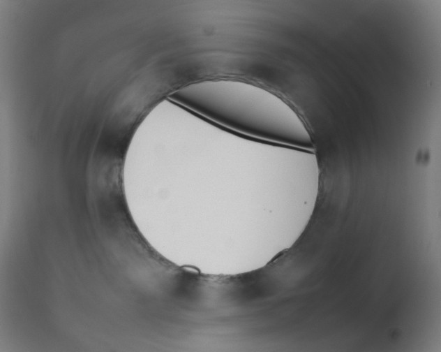 X0000111880141200908201306