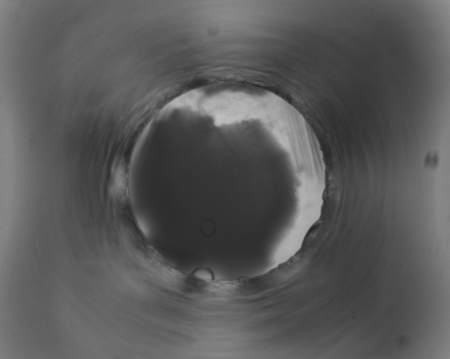 X0000111880143200908201306