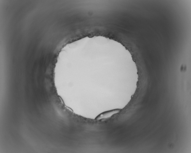 X0000111880144200908201306