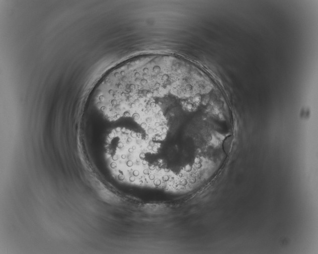 X0000111880145200908201305