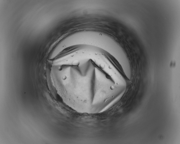 X0000111880146200908201305