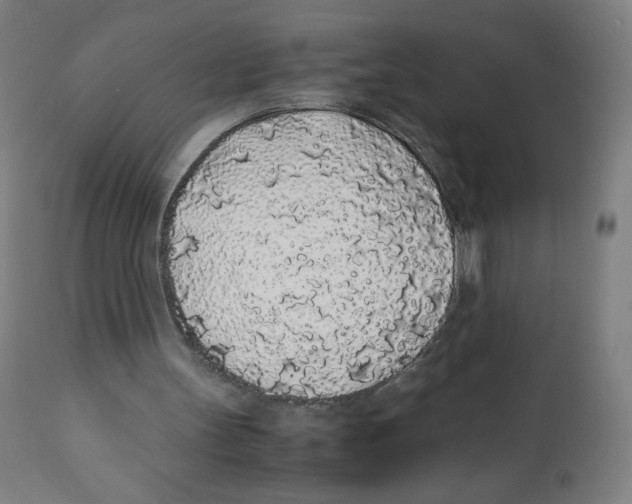 X0000111880147200908201305