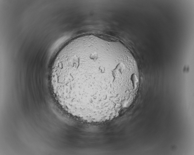 X0000111880149200908201305