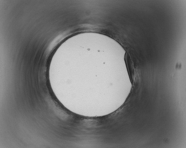 X0000111880150200908201305