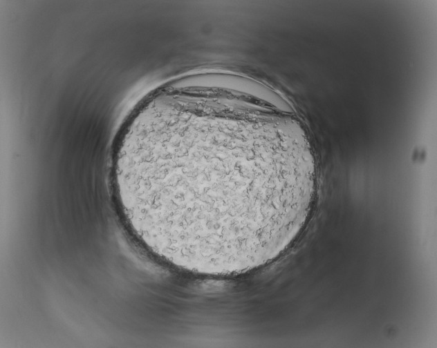 X0000111880152200908201305