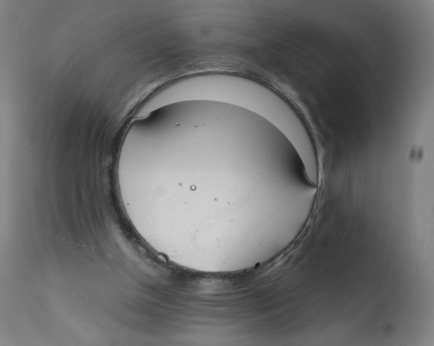 X0000111880154200908201305