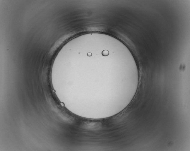 X0000111880155200908201305