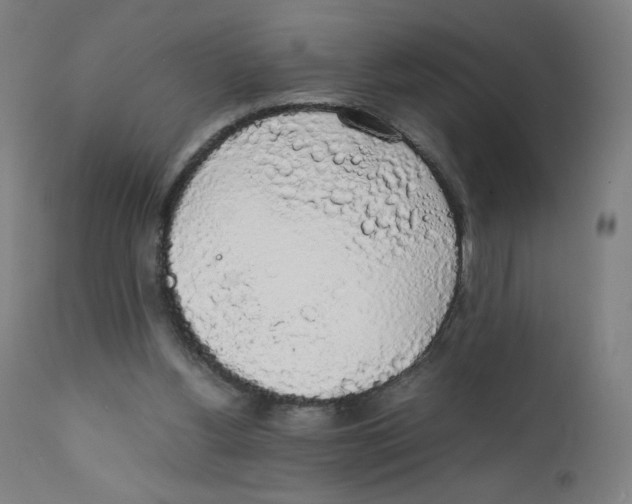 X0000111880156200908201305