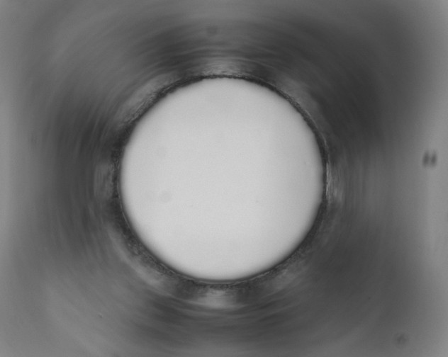 X0000111880157200908201305