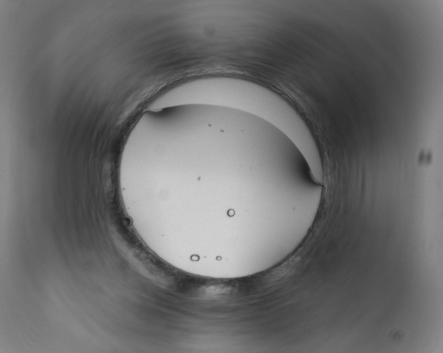 X0000111880158200908201305