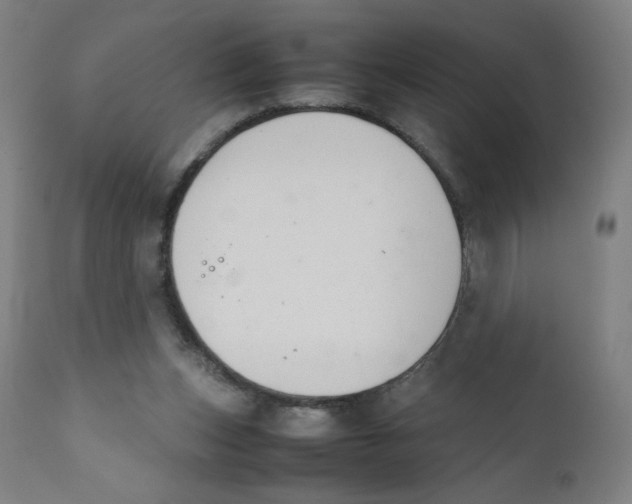 X0000111880159200908201305
