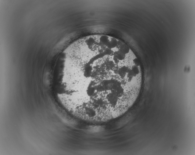 X0000111880161200908201305