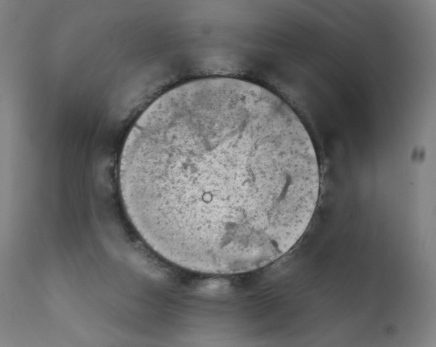 X0000111880162200908201305