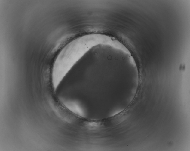 X0000111880163200908201305