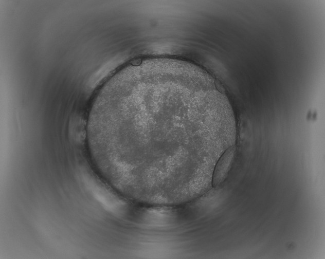 X0000111880164200908201305
