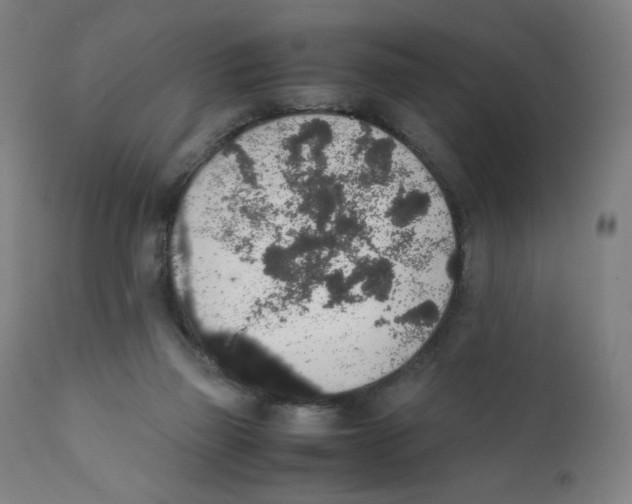 X0000111880165200908201306