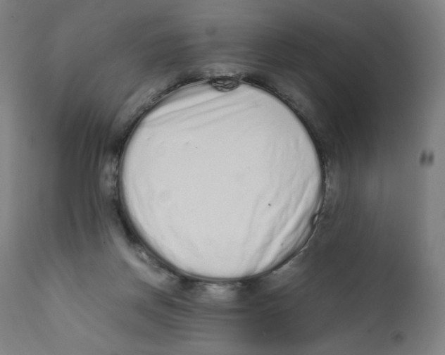 X0000111880166200908201306
