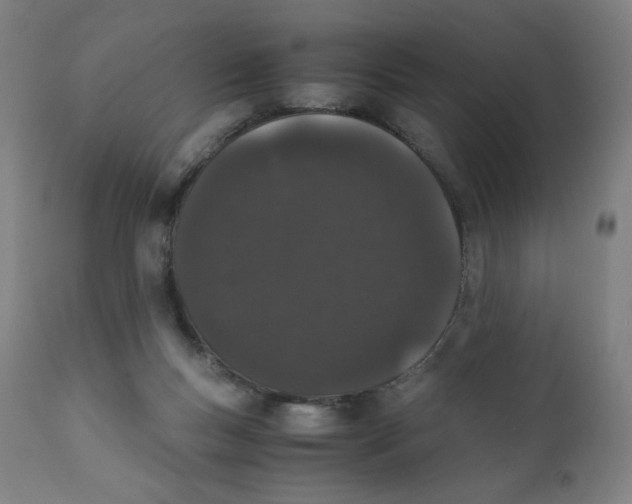 X0000111880167200908201306