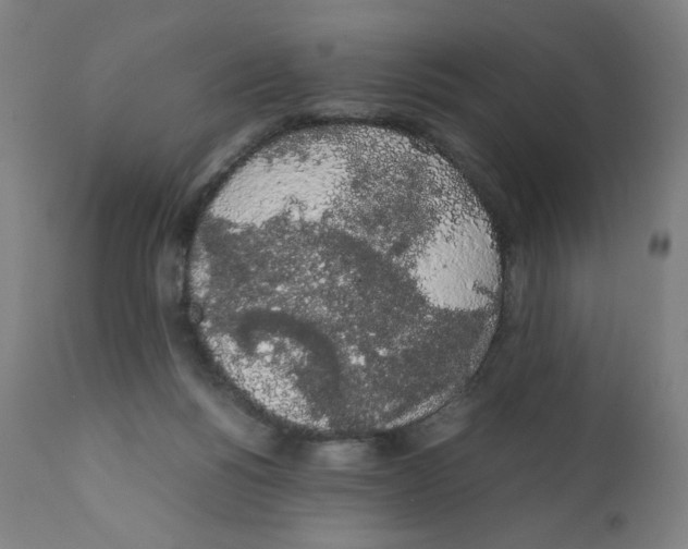 X0000111880168200908201306