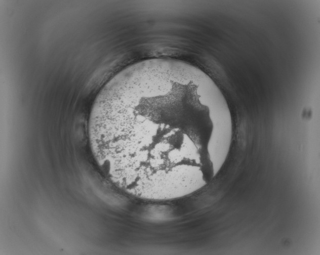 X0000111880169200908201306