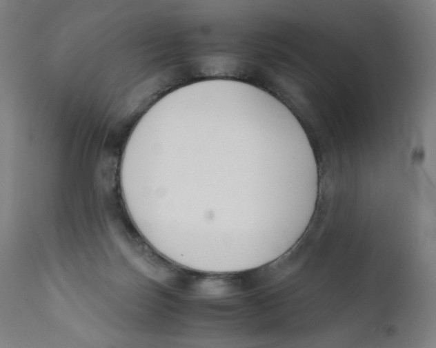 X0000111880171200908201306