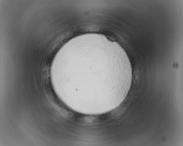 X0000111880172200908201306