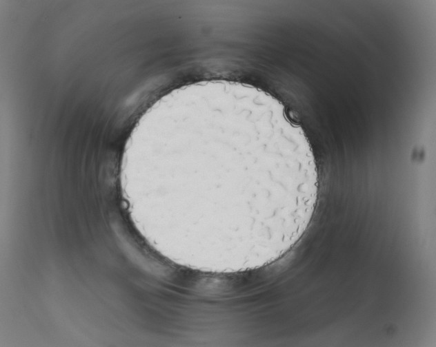 X0000111880174200908201306