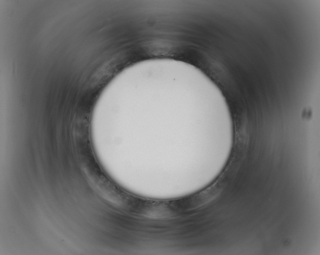 X0000111880175200908201306