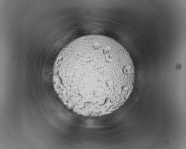 X0000111880177200908201306