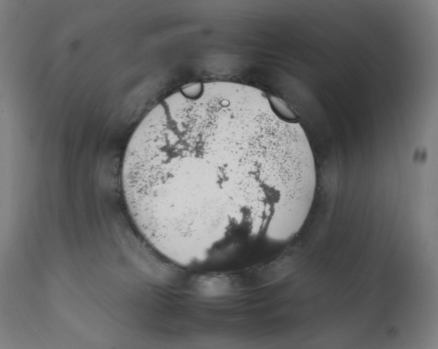 X0000111880181200908201306