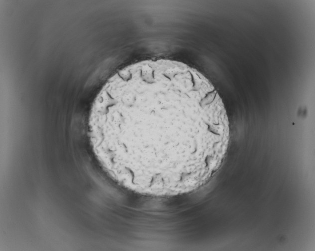 X0000111880182200908201306