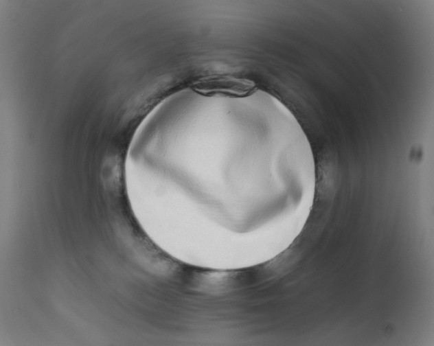 X0000111880184200908201306