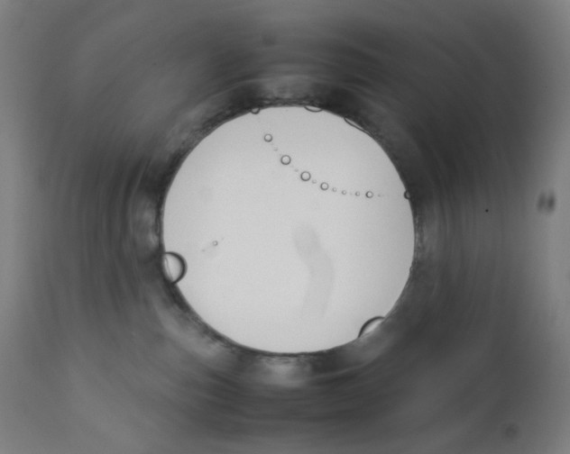 X0000111880187200908201306
