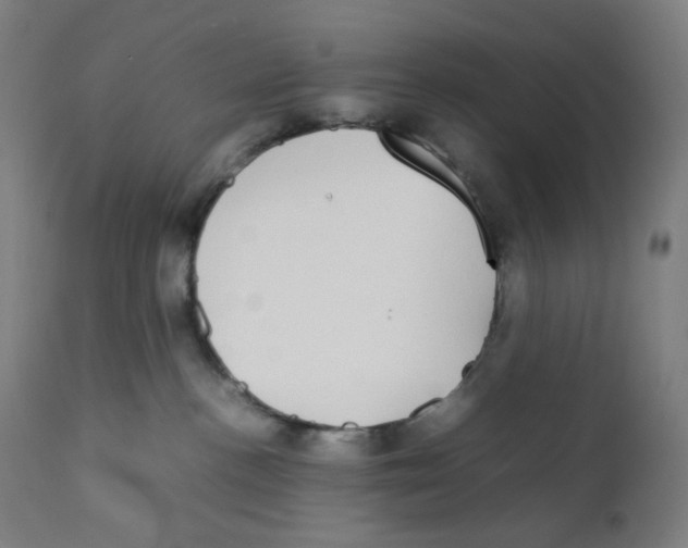 X0000111880188200908201306