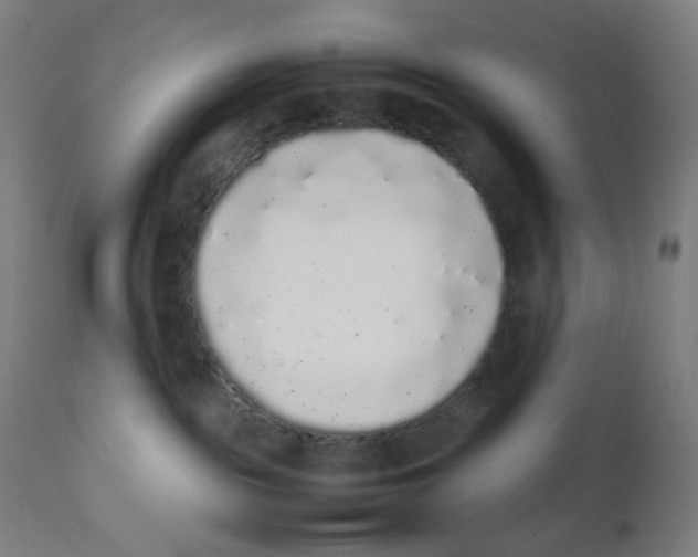 X0000111880189200908201306