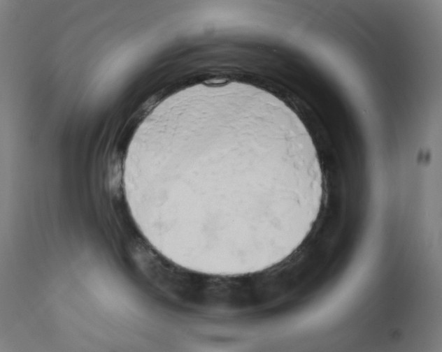 X0000111880190200908201306