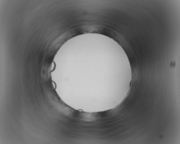 X0000111880191200908201306