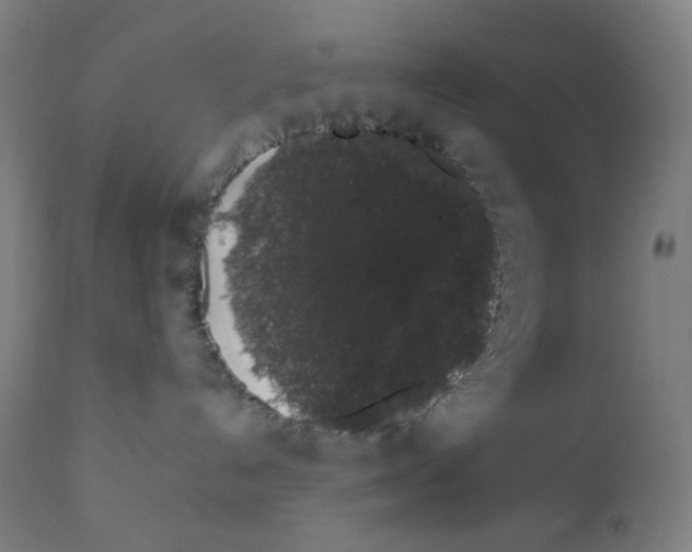 X0000111880192200908201306