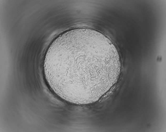 X0000111880193200908201305