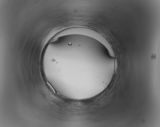 X0000111880195200908201305