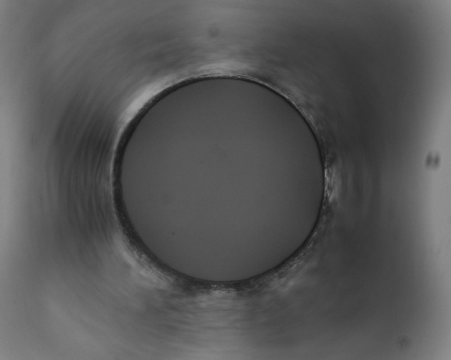 X0000111880196200908201305