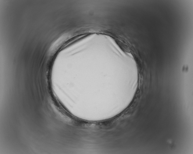 X0000111880197200908201305