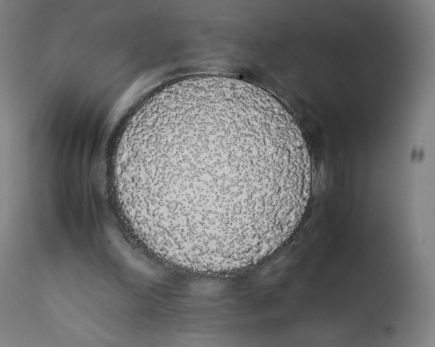 X0000111880198200908201305