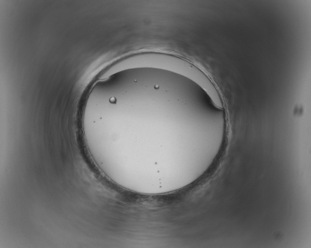 X0000111880199200908201305