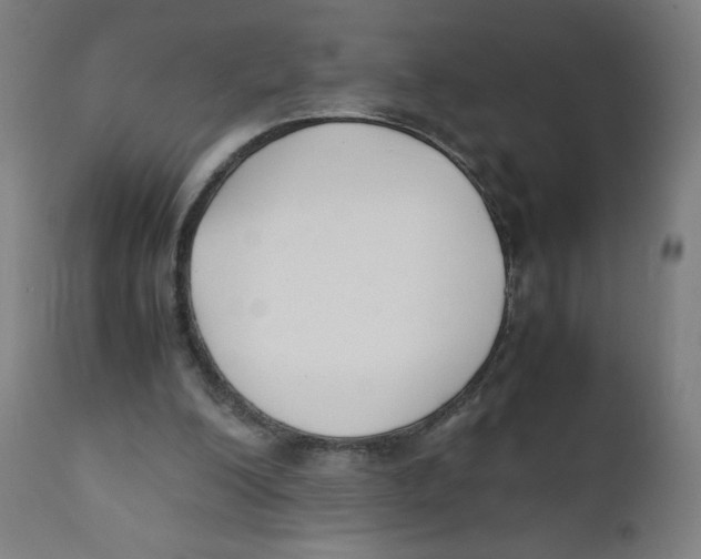 X0000111880200200908201305