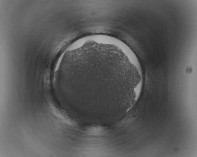 X0000111880202200908201305