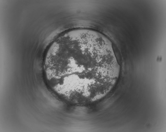 X0000111880203200908201305