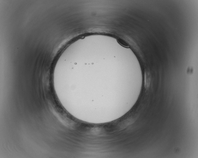 X0000111880204200908201305